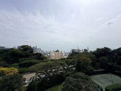 Mount Faber Lodge (D4), Condominium #522299191